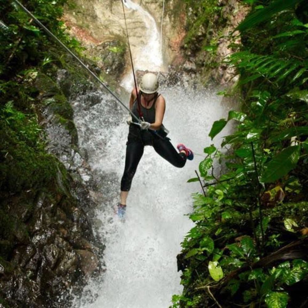 Meet your Posher, Eleanor